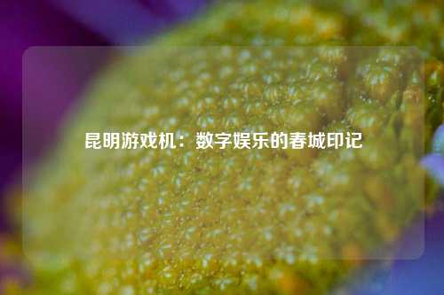 昆明游戏机:数字娱乐的春城印记
