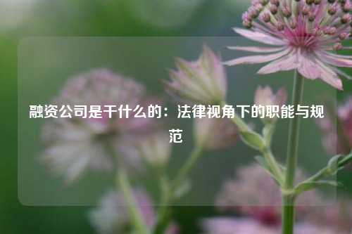 融资公司是干什么的：法律视角下的职能与规范