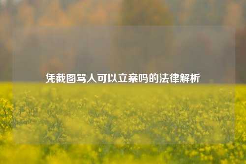 凭截图骂人可以立案吗的法律解析