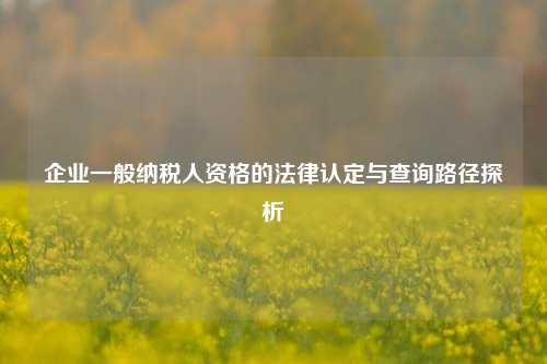 企业一般纳税人资格的法律认定与查询路径探析