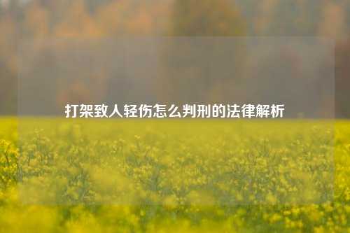 打架致人轻伤怎么判刑的法律解析