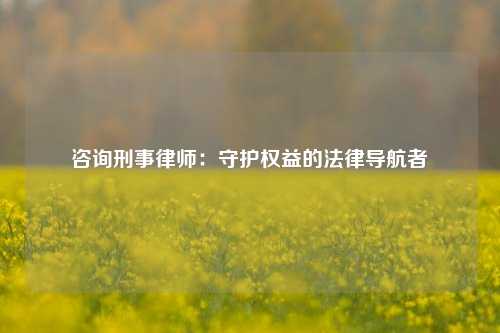 咨询刑事律师：守护权益的法律导航者
