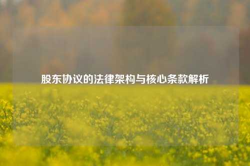 股东协议的法律架构与核心条款解析
