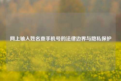 网上输入姓名查手机号的法律边界与隐私保护