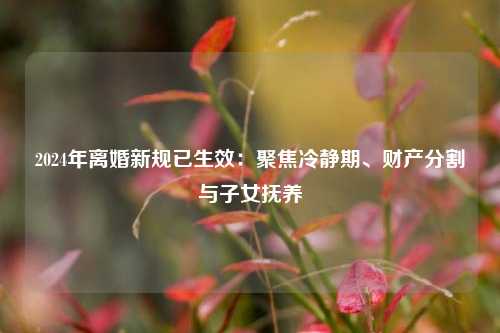 2024年离婚新规已生效：聚焦冷静期、财产分割与子女抚养