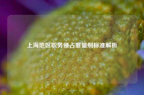上海地区职务侵占罪量刑标准解析
