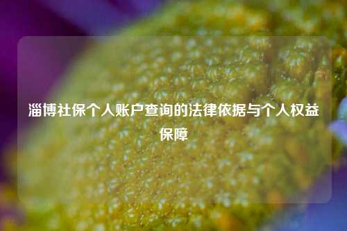 淄博社保个人账户查询的法律依据与个人权益保障